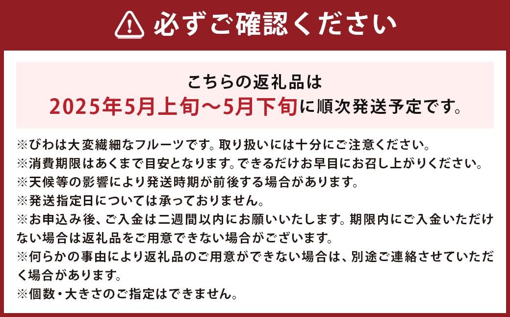 長崎びわ なつたより 赤秀 計約500g