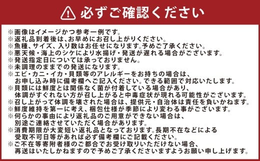 長崎漁港発！長崎近海産旬の鮮魚セット（大）