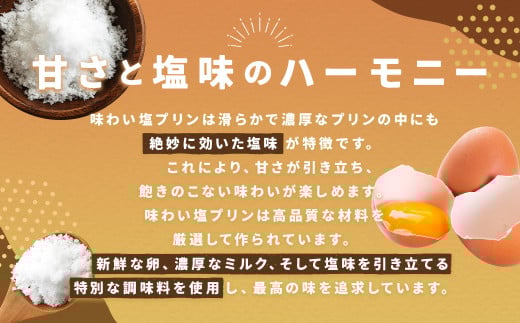 五島の海のめぐみの味わい塩プリン 80g×12個セット