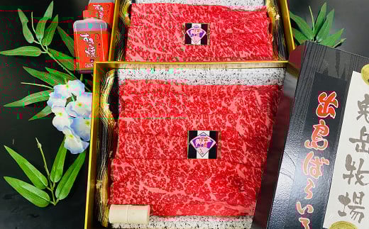 【全6回定期便】出島ばらいろ定期便 タイプB