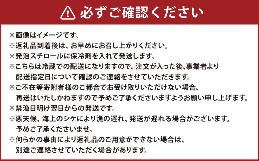 長崎県産 大村湾 活ナマコ 約1kg