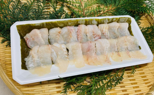 長崎の森で育てた『幻のクエ』昆布〆 刺身用  5～6人前 (1kg～2kg前後) ／ 魚 海鮮 魚介類 高級魚 クエ 刺身 刺し身 頭付き 長崎県 長崎市