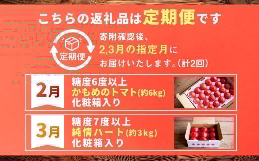 【年2回定期便】たかしまフルーティトマト＆野菜トマトのお手軽コース