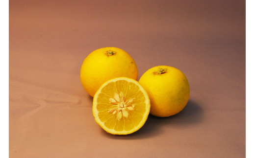 長崎薬味ゆうこう胡椒 (50g) 10ヶ