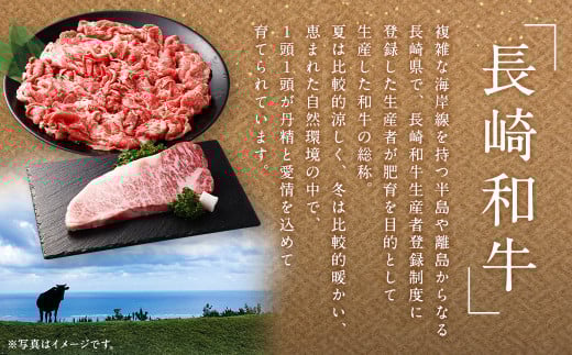 【全12回定期便】長崎和牛 肩ロース スライス 計8.4kg (700g×12回)