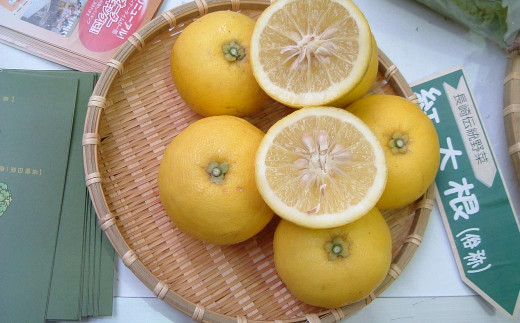 生搾りゆうこう果汁100％