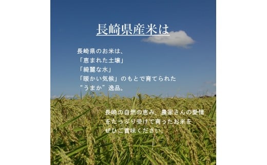 【令和7年産】無洗米 長崎 こしひかり 900g