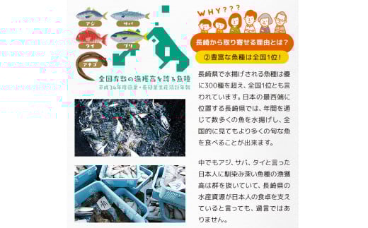 【全6回定期便】長崎加工 訳ありおまかせ干物とカラスミ詰め合わせ