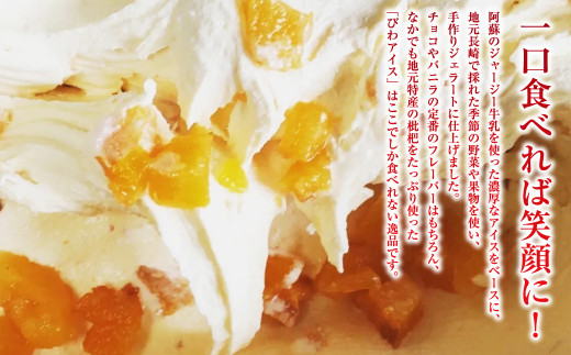 うずまきもなかアイス10個セット