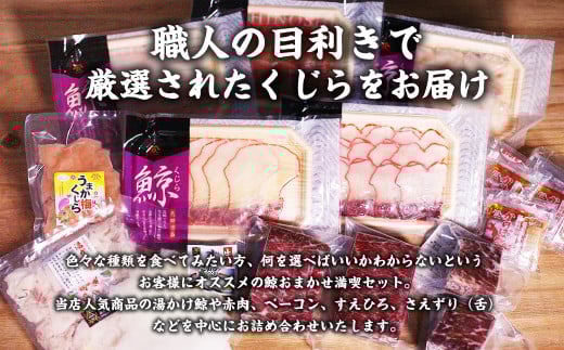 【年3回定期便】鯨おまかせ満喫セット(10種類以上)