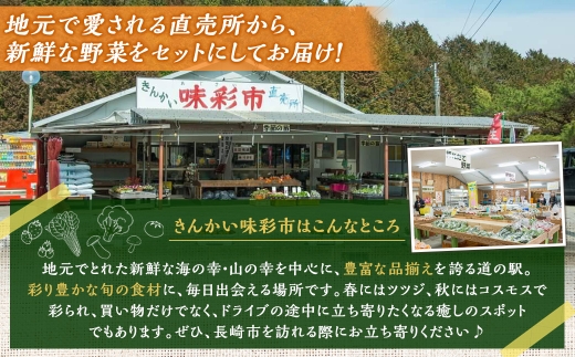 【全6回定期便】旬野菜 セット 5～10品目