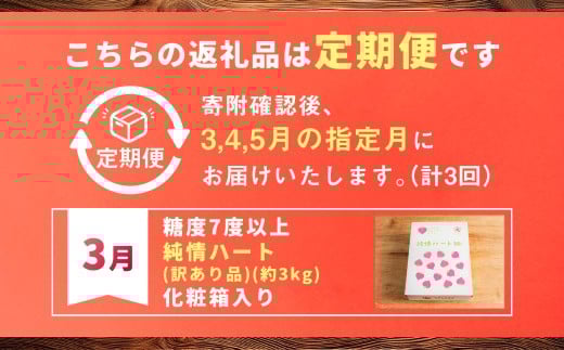 【訳あり】【年3回定期便 たかしまフルーティトマトの大箱コース