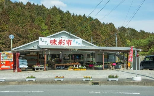 直売所おすすめ！旬野菜セット 5～10品目