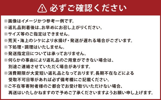 丸ごと1本！長崎近海 活き〆天然寒ヒラス（ヒラマサ）