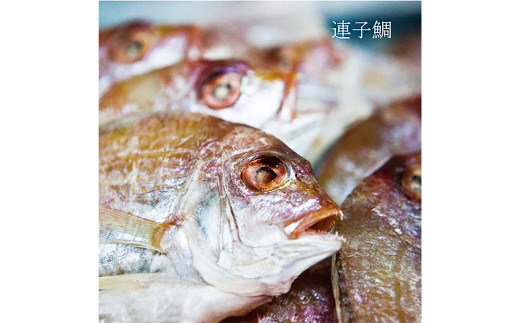 一夜干しざんまいセット