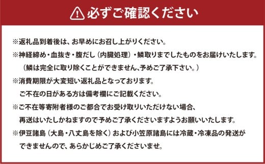 【premiumfishbrand】ゆうこうシマアジ（活〆）×1尾（約1）