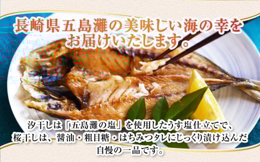 【全3回定期便】長崎五島灘荒波一夜干し 合計17枚