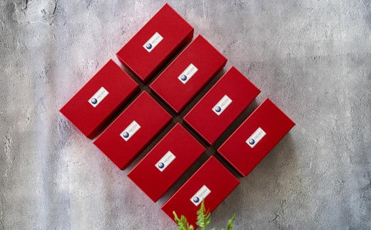 長崎 マーラーカオ 300g×8本 (プレーン2本・おまかせ6本)