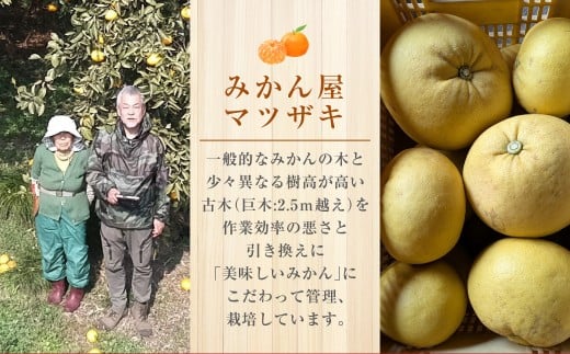 【樹上完熟】長崎みかん（紅まどか）約5kg