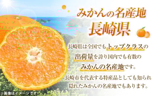 温州みかん 約3kg