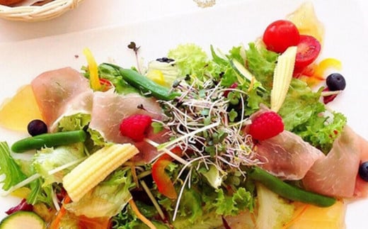 【全3回定期便】万能つゆ と 長崎柑橘ゆうこうドレッシング