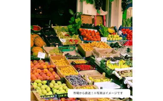 旬をお届け！何が届くのか？お任せフルーツ！【L】