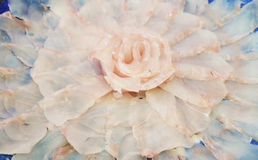 丸ごと1匹お届け！長崎近海 天然アラ (クエ) 8kg台