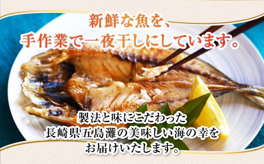 長崎五島灘一汐干し 合計12枚