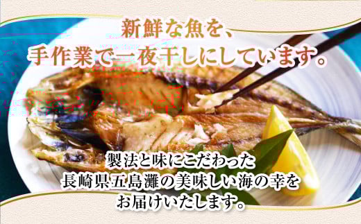長崎五島灘荒波一夜干し 合計17枚 干物セット ひもの 魚 海の幸