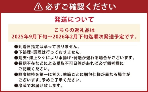 丸ごと1匹お届け！長崎近海 天然アラ (クエ) 3kg台