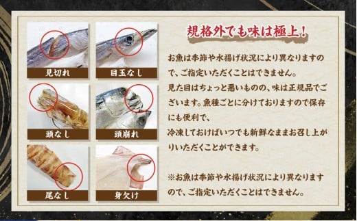 【全12回定期便】長崎出島屋お任せ 訳あり干物24枚