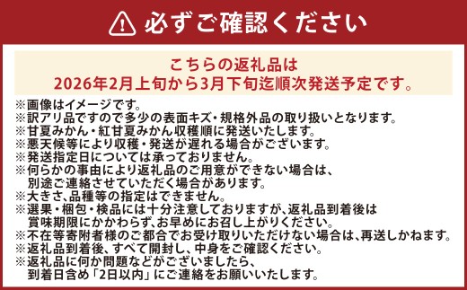 【訳あり】長崎県産 甘夏・紅甘夏みかん 約10kg