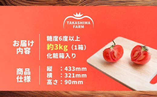 訳あり 糖度6度以上 かもめのトマト約3kg箱
