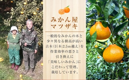 【樹上完熟】長崎みかん（ 不知火 ）約5kg