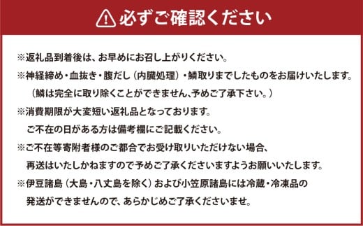 【premiumfishbrand】ゆうこうシマアジ、ゆうこう真鯛