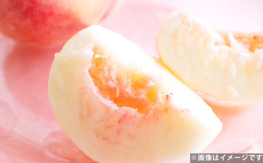 ハウスもも 約2kg（品種おまかせ）旬の桃