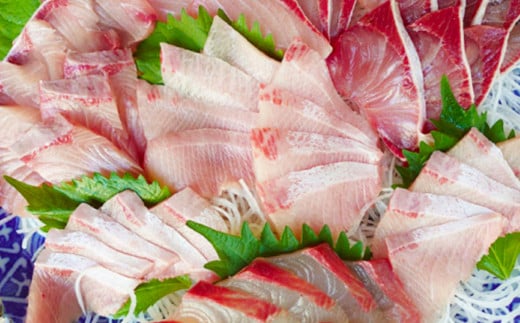 長崎近海 活き〆天然寒ぶり5kg台（5.2kg?5.8kg）丸ごと1本