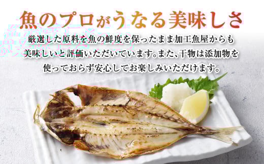 干物 5種 ・【訳あり】漬け魚おまかせ3種 セット