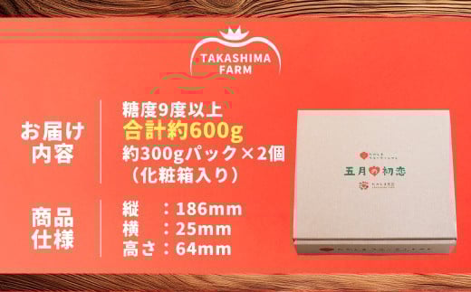 糖度9度以上 たかしまフルーティトマト 五月の初恋 約600g