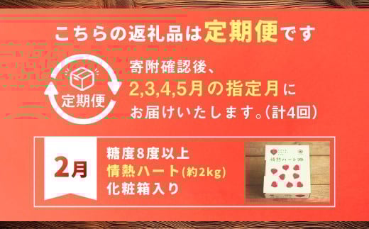 【年4回定期便】たかしまフルーティトマトの贅沢コース