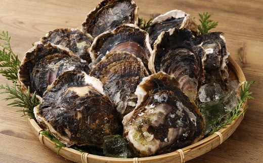 戸石町産 岩牡蠣 計約3kg（生食用／カキナイフ付き）