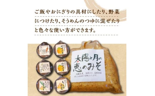 太陽と月の恵のみそ1個 (1kg) つけみそ6個