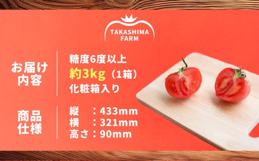 糖度6度以上 たかしまトマトシリーズ かもめのトマト 約3kg