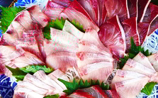 長崎近海 活き〆天然寒ぶり6kg台 (6.2kg?6.8kg) 丸ごと1本