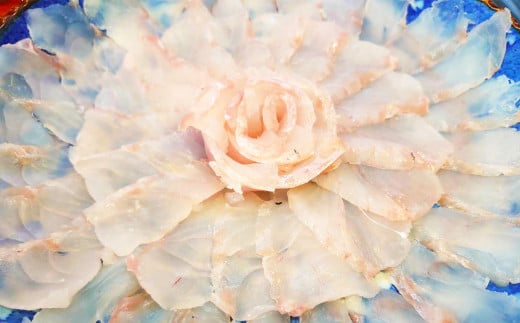 丸ごと1匹お届け！長崎近海 天然アラ (クエ) 2kg台