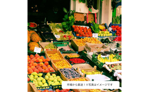 旬をお届け！何が届くのか？お任せフルーツ！【M】