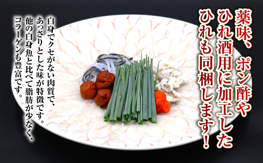 長崎とらふぐ刺身4人前