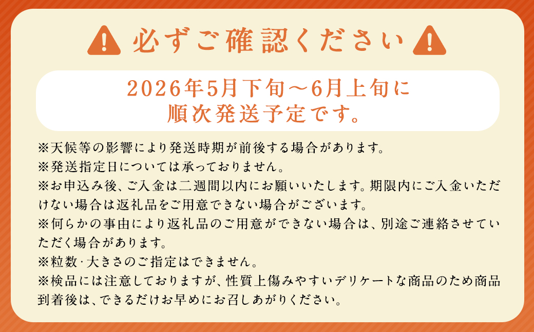茂木 びわ 『なつたより』 3Lサイズ 15玉 入り