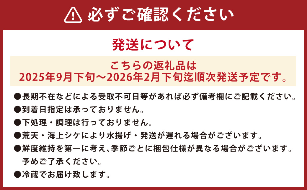 丸ごと1匹お届け！長崎近海 天然アラ (クエ) 8kg台