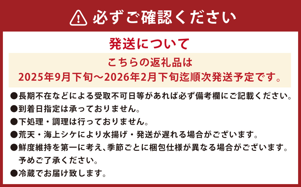 長崎近海 活き〆天然寒ぶり6kg台 (6.2kg?6.8kg) 丸ごと1本